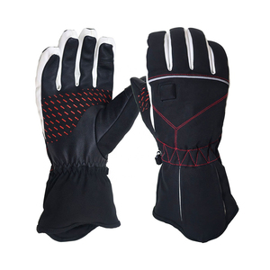 Guantes de Karting de Cuero Personalizados para Hombre y Mujer - Diseño a Prueba de Viento de Alta Calidad para Carreras de Motos y Go-Karts al Aire Libre - Product Image 2