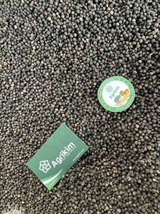 Export Quality Premium Dried AD Processed Black Pepper <b>Grinder</b> Vietnam Origin 100% Pure Natural Spices <b>Herbs</b> - Product Image 6