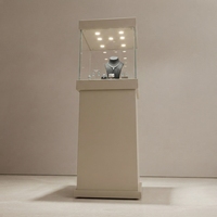 Vitrines de présentation sur pied pour bijoux de qualité supérieure avec éclairage intégré, personnalisables pour colliers