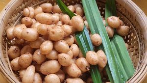 Tubería de Raíz Congelada y Cocida de Textura Glutinosa para Uso en Restaurantes, Ingrediente Masticable para Postres, Listo para Cocinar - Product Image 4