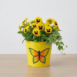 Pot de fleurs suspendu en métal moderne pour la décoration intérieure et extérieure de la maison et du jardin, support décoratif pour plantes suspendues pour balcon - Product Image 1