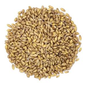 Alimento Natural Orgánico de Primera Calidad para Animales, Cebada en Grano, Empaque de 50 Kg, Semillas de Cebada, Cereales - Product Image 2