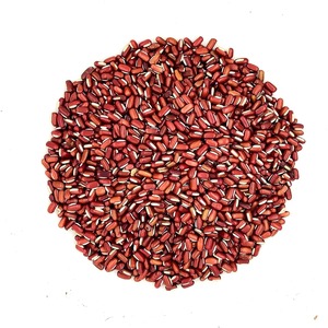 Frijol Rojo Orgánico Seco Premium para Exportación a Granel con Semillas Procesadas Limpias, Color Natural y Empaque para Alimentos - Product Image 3