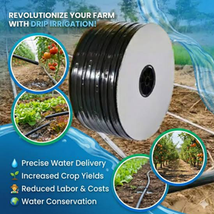 Cinta de Goteo Plana de PE de 16 mm Personalizada, Grosor de Pared de 0.15-0.4 mm, Manguera de Riego Agrícola para Ahorro de Agua - Product Image 3