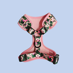 Collare di raffreddamento estivo personalizzato tattico altri collari per animali domestici guinzaglio borsa da viaggio imbracatura per cani - Product Image 2