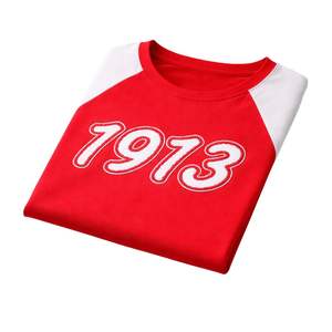 Camisa Raglán Premium de Chenilla Roja Delta Sigma Theta 1913 para Mujer, Ajuste Cómodo, Alta Calidad, Ropa Casual de Hermandad Griega - Product Image 6