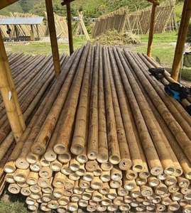 Wholesale Natural <b>Bamboo</b> Poles/ Sticks/ Canes for Furniture, Construction <b>Material</b> <b>Raw</b> <b>Bamboo</b> Pole Indoor/ Outdoor Garden Stick - Product Image 1