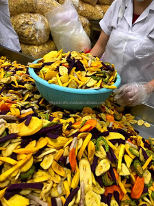 Fabrication de collations aux fruits Chips de jacquier séchées sous vide au goût original/Fruits tropicaux séchés naturels du Vietnam - Product Image 3