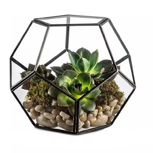 กระถางต้นไม้แก้วทรงเรขาคณิตตกแต่งบ้านสไตล์โมเดิร์นสำหรับปลูกต้นไม้ในร่ม - Product Image 5