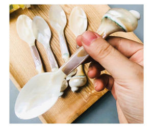 Cuillère en coquillage de qualité export avec manche en porcelaine, directement du fournisseur vietnamien - Cuillère décorative pour servir - Product Image 3