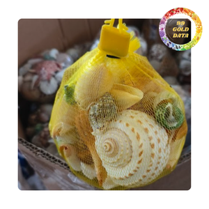 Conchas marinas mixtas naturales de Vietnam | Decoración costera para bodas y fiestas en bolsa de malla | Bonitas conchas marinas - Product Image 1