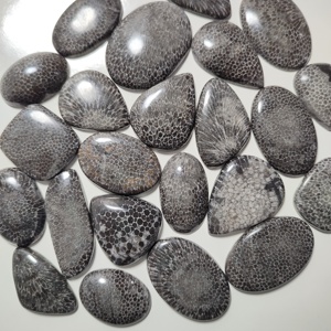 Coral Fossil Noir Naturel, Pierre Précieuse en Vrac de Haute Qualité, Faite à la Main, pour la Décoration et la Fabrication de Bijoux - Product Image 6