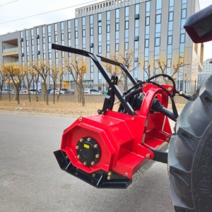 <span class=keywords><strong>Trinciaerba</strong></span> Posteriore per Trattori e Caricatori, Falciatrice a Flagelli, Motozappa Rotante per Agricoltura - Product Image 2