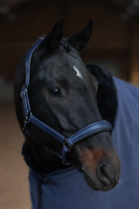 Harnais pour cheval en cuir brun hybride réglable, durable, fait main, de haute qualité, personnalisé, en gros, fabrication artisanale - Product Image 6