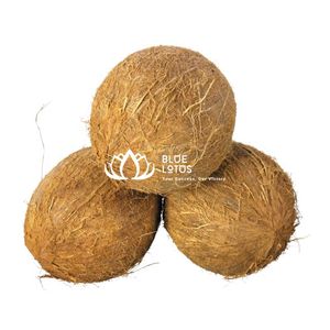 มะพร้าวปอกเปลือกพรีเมียมขายดี - ผลไม้สดอุดมด้วยสารอาหารสำหรับเครื่องดื่มและการทำอาหาร - Product Image 1