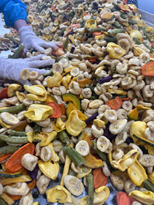 Mélange de fruits et légumes séchés : mangue, ananas, banane, jackfruit, okra, courge – Snack en vrac – Fournisseur Vietnamien OEM - Product Image 3