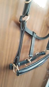 Fronture en cuir de haute qualité pour l'entraînement et l'équitation quotidienne des chevaux, disponible pour la vente en gros - Product Image 5