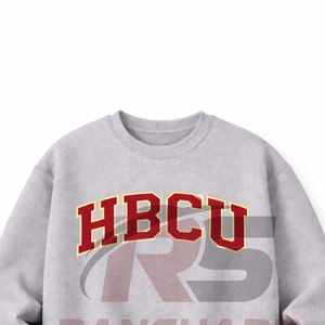 Sudadera HBCU personalizada y elegante, cálida, cómoda, duradera, profesional, para universidad, ropa HBCU de alta calidad - Product Image 3