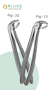 Forceps d'extraction dentaire 2026 de fabrication pakistanaise, modèle anglais, en acier, équipement dentaire, forceps d'extraction dentaire - Product Image 2