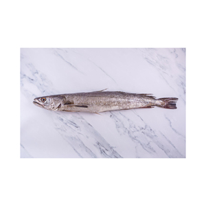 Poisson Hake Congelé pour la Vente au Détail et l'Approvisionnement des Supermarchés - Product Image 4