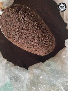 Meilleures ventes : Poudre de marc de café brun foncé séché (SCG) pour la fabrication d'emballages en bioplastique et biocomposite - Product Image 4