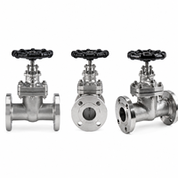 Vanne à opercule manuelle J41H CF8M Classe 300 pour applications industrielles pétrolières et gazières avec corps en acier inoxydable