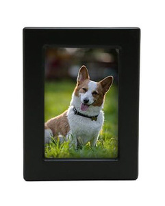 Urnes funéraires et cercueils pour animaux de compagnie en bois naturel de style américain moderne avec logo personnalisé - Vente en gros à bas prix - Product Image 1