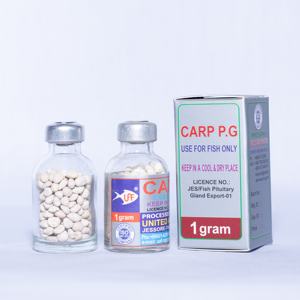 สูงเรียกร้องปลาหรือปลาคาร์พต่อมใต้สมองสำหรับบังคลาเทศขายทั้งและค้าปลีก - Product Image 2