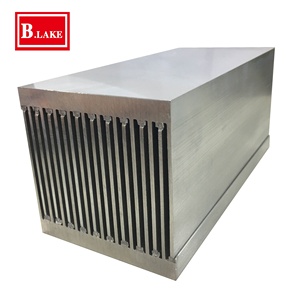 ฮีทซิงค์ผูกมัดที่กำหนดเองสำหรับพลังงานสูง - Product Image 1