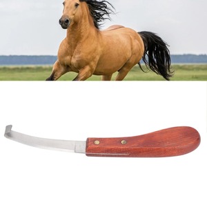 Cuchillo para Pezuñas de Caballo, Cuchillo para Pezuñas de Acero Inoxidable con Mango Cómodo, Cuchillos para Recortar Pezuñas - Product Image 2