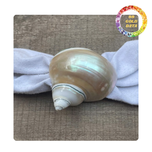 Anillos para Servilletas de Concha Natural Pulida, Hechos a Mano, Accesorio de Baño para Bodas, Moderno, Lujoso y Ecológico - Product Image 3