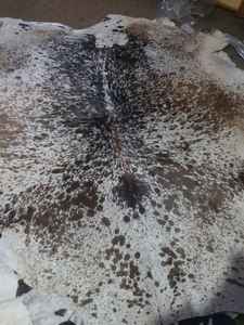 Exotic Cowhide Leather Mat Black Brown White Tricolor Pattern for Unique Wall Art Photography Props and Artistic Craft Projects - Product Image 2