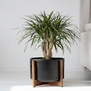 Elegantes macetas color granate con soportes minimalistas de alambre dorado, disponibles a precios de mayorista para interiores de lujo. - Product Image 2