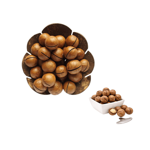Precio al por Mayor, Fábrica de Vietnam, Macadamia Cruda de Primera Calidad para Exportación, Deliciosa, Empacada en Bolsas de Varios Tamaños - Product Image 3