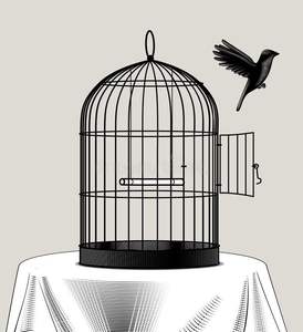 Jaula moderna para loros, pinzones, agapornis, con soporte para hueso de sepia, sepia - Product Image 4