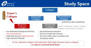 Trauer Стерильная бычья губка коллагена типа I MS для гемостаза и заживления ран продается в течение 15 лет - Product Image 4