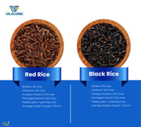 Riz sain-Haute nutrition mélangé à partir de nombreux types de riz Vente en gros Export | Riz brun Riz rouge RIZ NOIR | Riz Basmati