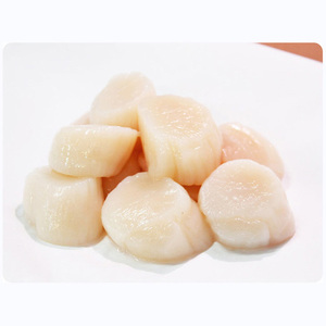 หอยทะเลแช่แข็งหรือแช่เย็นแบบสดจำนวนมากสำหรับขายส่ง - Product Image 2