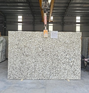 Perfect for Homes & Commercial Spaces Alaska White modern polished exotic <b>granite</b> Airport, Railway Station, Hotel, Villa - Product Image 1