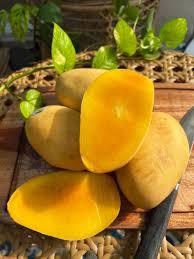 Mango Fresco Premium Más Vendido, Mango Amarillo a Bajo Precio, Fruta de Mango Fresca de Pakistán - Product Image 4