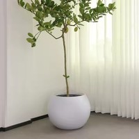 Nouvelle Arrivée Durable Nordique En Plastique Pot De Fleur Ronde Sphère Boule Planteur pour Bureau Maison Bureau Jardin In-Outdoor Decor