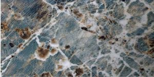 Carreaux de sol en porcelaine brillante effet léopard 600x1200mm, aspect marbre doré, pour un look luxueux. - Product Image 2