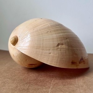 Grand aquarium nautique en coquillages, décoration pour la maison, prix compétitif, coquillages naturels. - Product Image 4