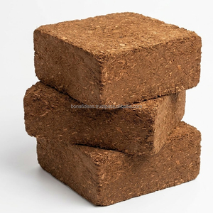 Bloc de tourbe de coco naturelle 5 kg, Indonésie, déchets agricoles, tourbe de coco pour la décoration intérieure, potager - Product Image 2