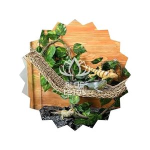 Hamac en herbe marine très demandé pour reptiles 2026 – Idéal pour dragons barbus, geckos : grimper, bronzer et se détendre - Product Image 3