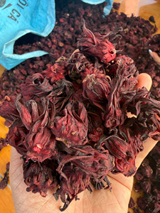 Fleurs d'hibiscus séchées entières rouges pour tisane et décoration, fleurs de rosier naturelles, fabrication vietnamienne - Product Image 1