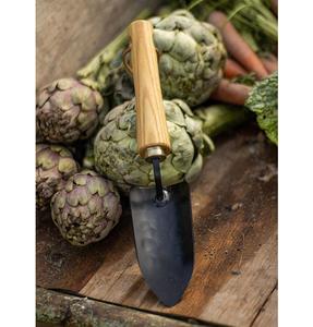 Ensemble moderne de fourche et truelle de jardinage miniature avec manche en bois pour le jardinage domestique et l'utilisation en extérieur - Product Image 1