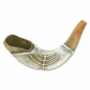 Shofar en corne de bélier naturelle fait main, corne courbée pour la cérémonie religieuse juive, instrument de culte traditionnel, corne musicale - Product Image 1