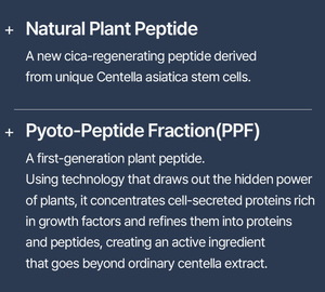 Mascarilla Facial Coreana CICA con Ceramida, Pantenol y Colágeno, Venta al por Mayor, OEM, Marca Privada, Barrera Cutánea, K-Beauty - Product Image 4