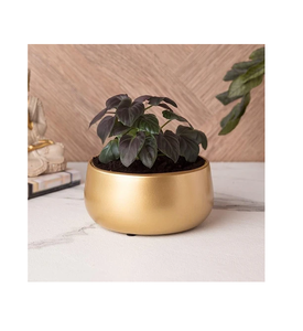 Amazing Quality Brass Planter Pot Indoor Plant Planter Pot Classy Hammered Golden Indoor/<b>Outdoor</b> Brass Planter Pot - Product Image 4